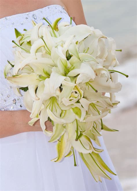 With a bountiful arrangement of greenery and white blooms like gardenias and nerine lilies, this gorgeous cascading bouquet is fit for a princess. Teardrop; white lilies | Wedding bouquets, Lily wedding ...