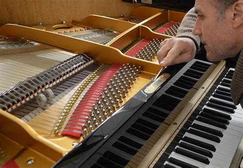 Regulation To A Piano Is The Adjustment Of The Mechanical Parts That
