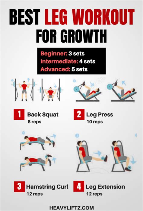 Best Leg Day Exercises For Mass Exercise Poster