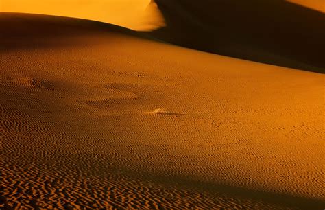 Desert Smithsonian Photo Contest Smithsonian Magazine