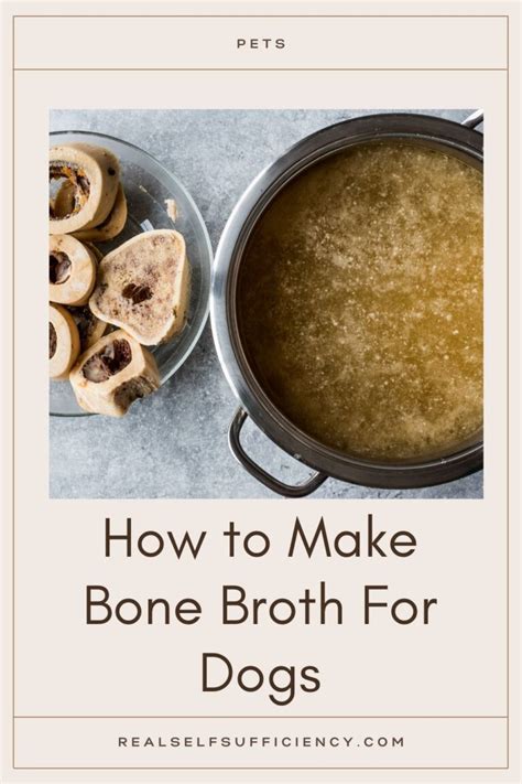 How To Make Bone Broth For Dogs Easy Cheap And Healthy Recipe