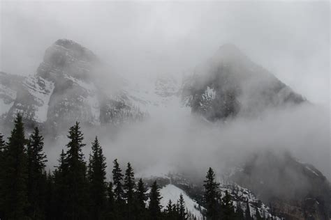 Free Images Forest Rock Snow Winter Cloud Fog Mist Mountain