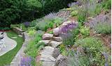 Rock Landscaping On A Slope Pictures