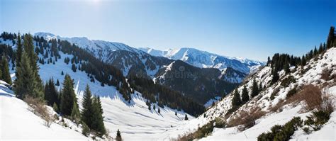 Beautiful Panorama Of The Mountains In Winter Gorgeous Mountain