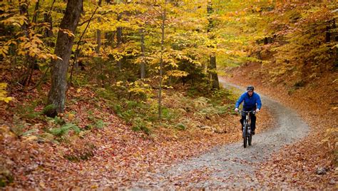 Why Fall Bike Rides Are Some Of The Best Of The Year I Love Bicycling