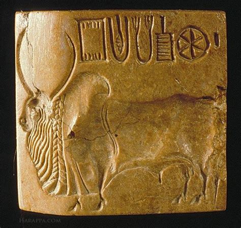 Bull Seal Harappa Indus Valley Civilization Mohenjo Daro Civilization