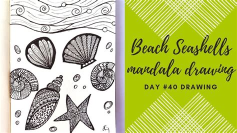 Beach Seashells Mandala Drawing Easy Mandala Drawing Day Drawing