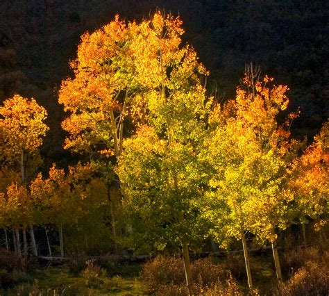 Best Places To See Fall Color This Season Fox31 Denver