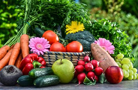 Los 5 Mejores Nutrientes Que No Puedes Obtener De Las Verduras Y Vegetales