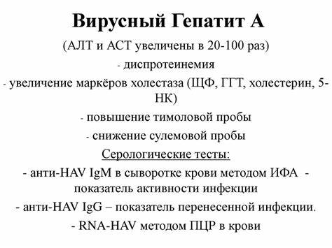 Диагностический поиск при вирусных гепатитах. Клиническо Картинка - Диагностический поиск при вирусных гепатитах. Клиническо