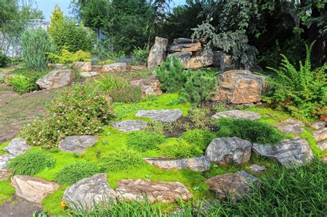 10 Easy Low Maintenance Lawn Alternatives