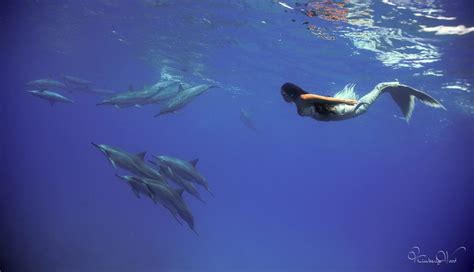 Hawaiian Mermaid Malia Passion Culture And Breaking Molds