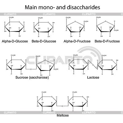 Formulas Of Main Cyclic Monosaccharides And Stock Vector Graphics