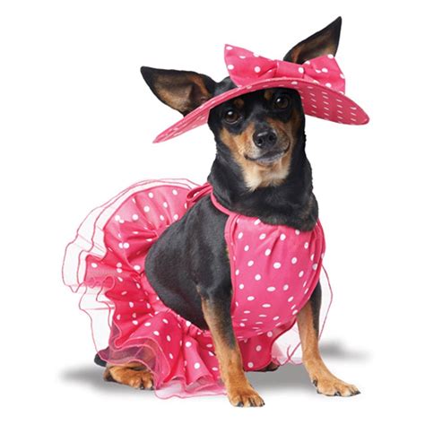Bcrf Pretty In Pink Dog Dress That Hat Diy Dog Costumes Pet