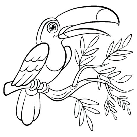 A Toucan Sitting On A Tree Branch With Leaves And Branches Around It