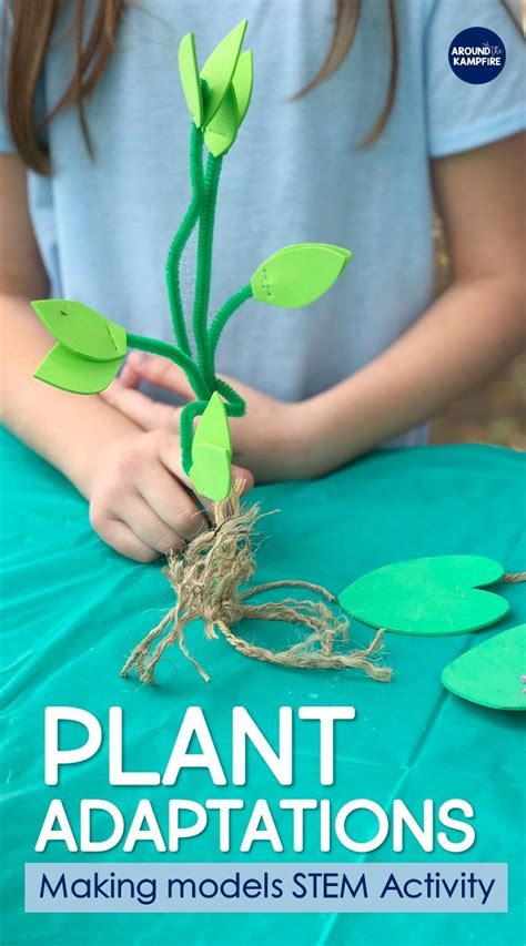 Plant Stem Activities For Kids Making Models Of Adaptations Around