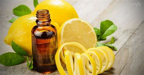 6 Things To Do With A Bottle Of Lemon Oil Cooking With Essential Oils