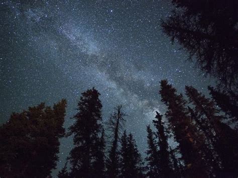 The Milky Way Shines Above The Forest In The San Juan