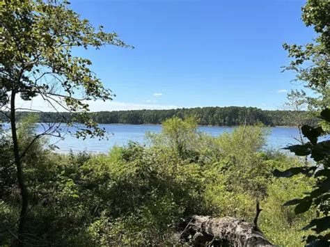 10 Best Hikes And Trails In Jordan Lake Educational State Forest