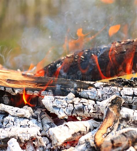 Campfire Background Of Flames And Glowing Embers Stock Photo Image