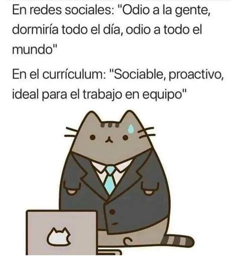 Top Memes De Currículum En Español Memedroid