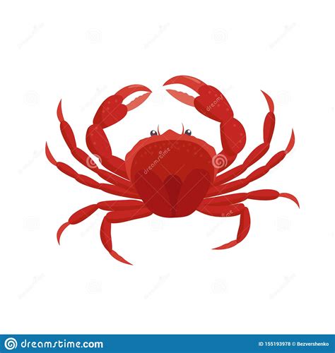 Crab Vector Illustration In Flat Design Isolated On White Background