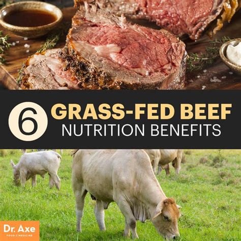 Grass Fed Beef Nutrition Benefits Nos Are Life Savers Dr Axe Grass Fed Beef