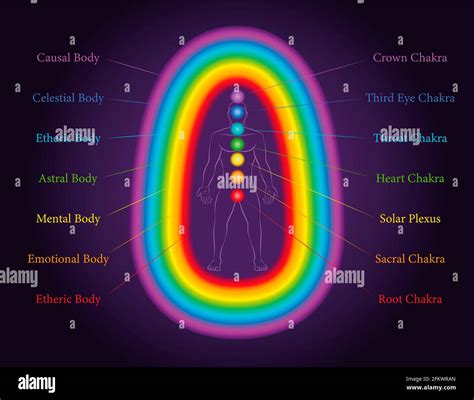 Aura Bodies The Seven Layers Of A Meditating Man With Related Chakras
