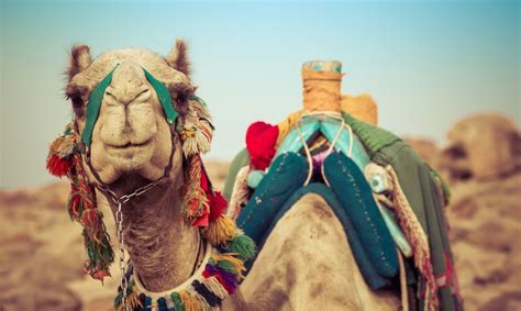 Cultura de Egipto Características costumbres y tradiciones