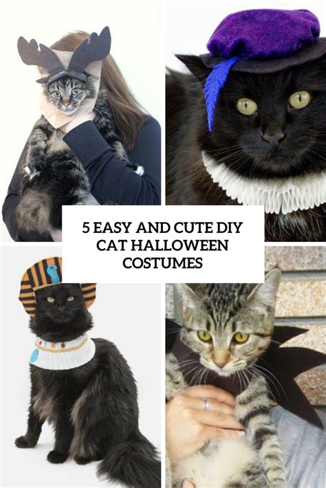 Picture Of 5 Easy And Cute Diy Cat Halloween Costumes Cover