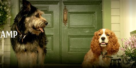 First Look At Disneys Live Action Lady And The Tramp Movie