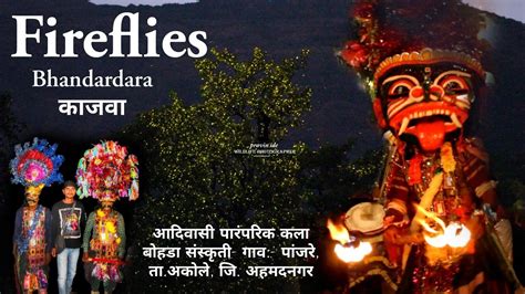 Fireflies Festival Bhandardara 2023 Tribal Bohada Bhandardara