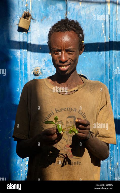 Portrait Of Ethiopian Man Chewing Khat Catha Edulis Harar Ethiopia