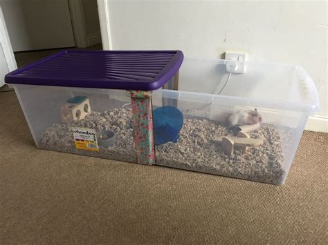 Hamster Bin Cage 54lt Box 59 X 39 X 30 Inches Hamster Bin Cage