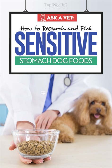 Canine care small dog digestive care dry. Dog Food for Sensitive Stomachs: The Vet's Buying Guide ...
