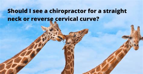 Should I See A Chiropractor For A Straight Neck Or Reverse Cervical