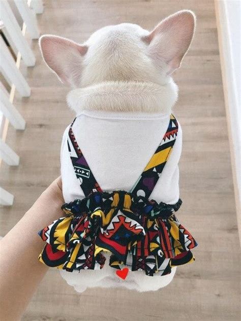 The french bulldog is a powerful dog for its size, compact in all its proportions. Summer Dog Dress Poodle Bichon Corgi Pug Clothes French ...
