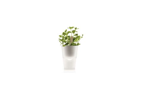 10 Easy Pieces Self Watering Planters Gardenista