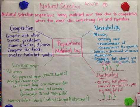 Mrs Paul Biology Natural Selection Glad Anchor Charts Notes