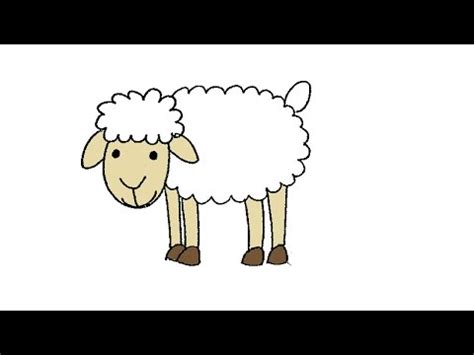Symbool van onschuld, maar ook van wedergeboorte in de natuur (lammetjes in de wei als. Hoe teken je een schaap // How to draw a sheep - YouTube