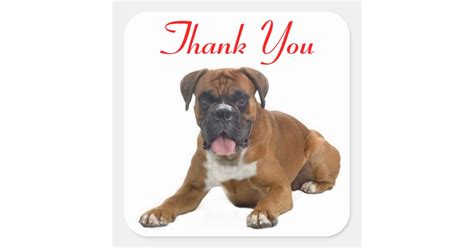 Thank You Boxer Puppy Dog Greeting Sticker Zazzle