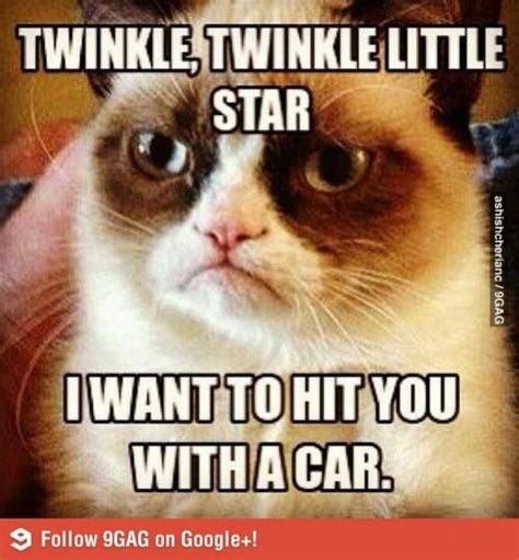 Grumpy Cat Funny Grumpy Cat Memes Grumpy Cat Meme Funny Cat Memes