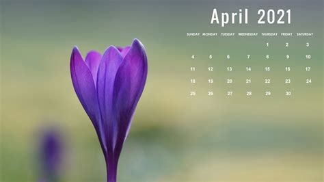 April 2021 Calendar Wallpaper Desktop Laptop Computer Hd Background