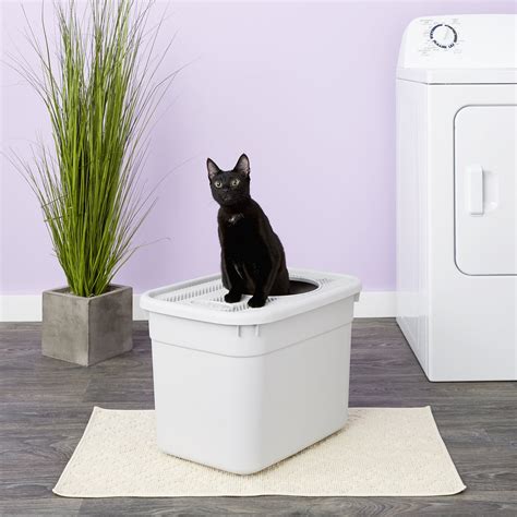 Top Entry Cat Litter Box Large Cat Meme Stock Pictures And Photos