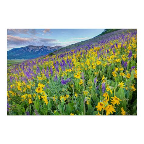 Usa Colorado Crested Butte Landscape Poster Zazzle