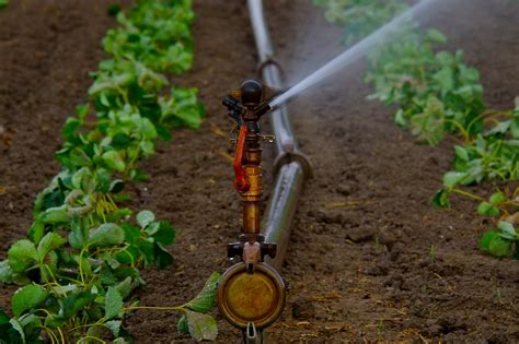 10 Components Of An Irrigation System Farm And Dairy