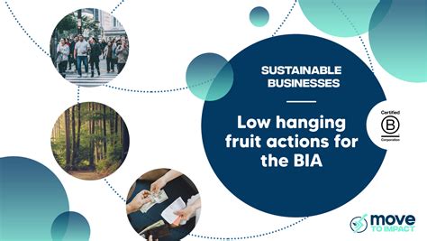 B Corp Low Hanging Fruit Actions Cheat Sheet Move To Impact