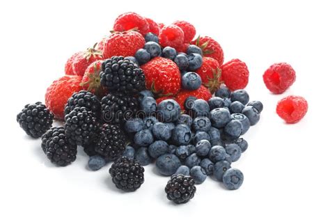 Forest Berries Stock Photo Image Of Juicy Ripe Fresh 15312082