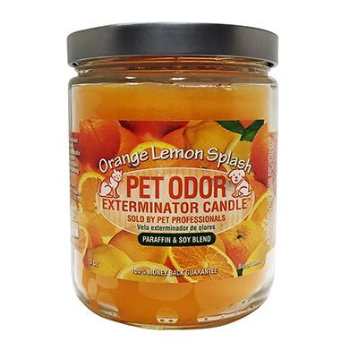 Help defeat the stink of your furry friend with pet odor exterminator cool cucumber & honeydew candle. Pet Odor Eliminator Lemon Splash Candle - Dog Stain & Odor ...