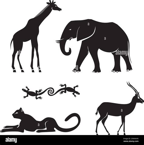 Set Of African Animals Vector Illustration Stock Vector Image And Art